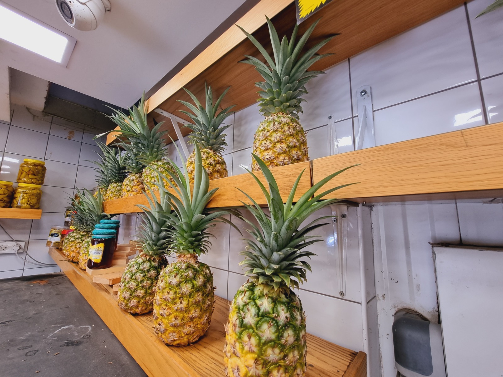 WhatsApp Image 2022-03-29 at 1.24.18 PM.jpeg